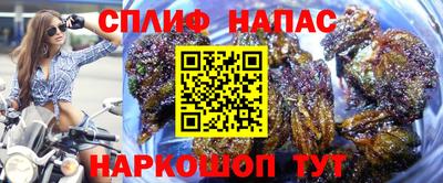 индика Краснознаменск