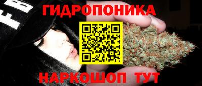 сатива Краснокаменск