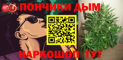 индика Краснознаменск