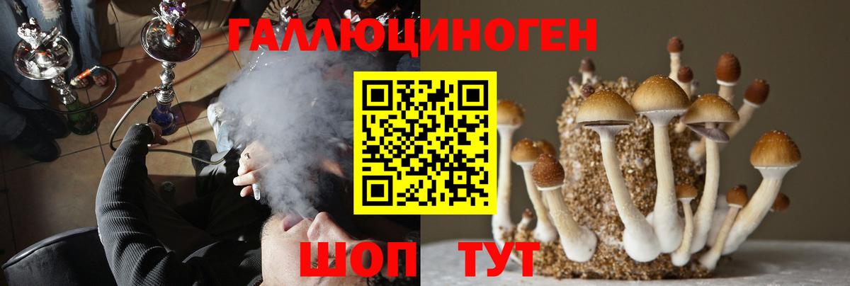 Галлюциногенные грибы MAGIC MUSHROOMS Жигулёвск